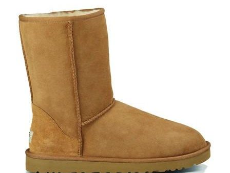 UGG MEN M CLASSIC SHORT 5800 CHESTNUT Cheap