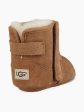 Ugg Infant I Jesse Chestnut 1007100I Online Sale