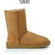 UGG MEN M CLASSIC SHORT 5800 CHESTNUT Cheap